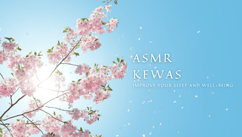 Kewas ASMR at Patron Hunt — Find Your Next Favorite Indie Creator
